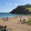 Plaża Mothecombe