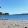 Spiaggia di grebe