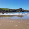 Crackington beach