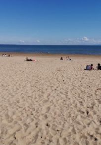 Swansea kommun