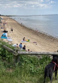 Comitatul Southend-on-Sea