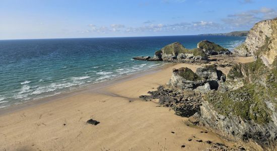 Plage de Whipsiderry