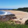 Spiaggia di Seacliff