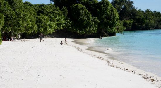 Pemba Island Beach