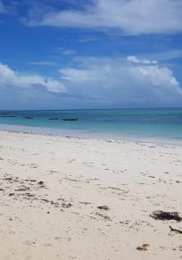 Regione di Zanzibar Centro-Sud
