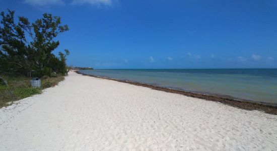 Cocoa Plum beach