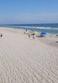 Palm Beachin Piirikunta