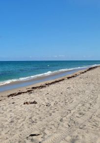 Palm Beach