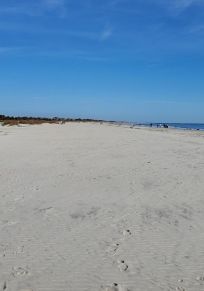 Sullivans Island