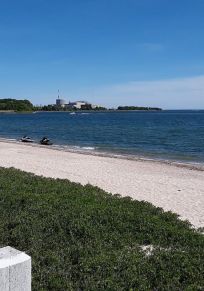 Niantic