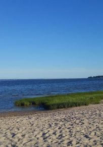 Swifts Beach