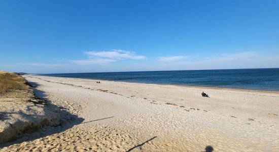 Plaža Sandy Neck