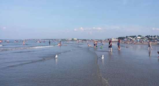 Nantasket beach