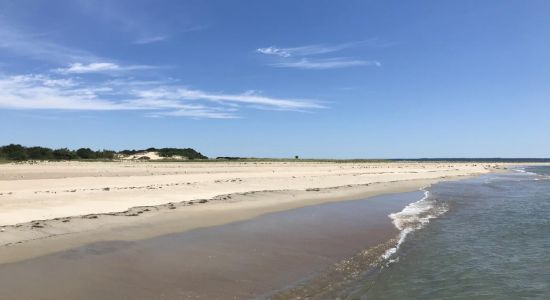 Sandy Point beach