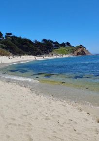 Seal Cove