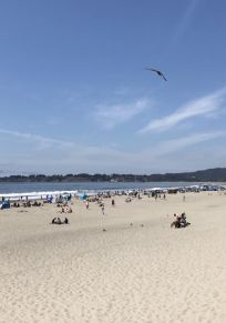Stinson Beach