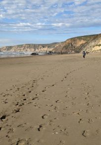 Lairds Landing