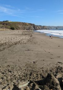Bodega Bay