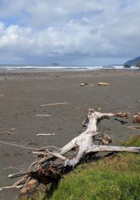 Nesika Beach