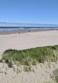 Surf Pines