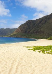 Makaha Valley