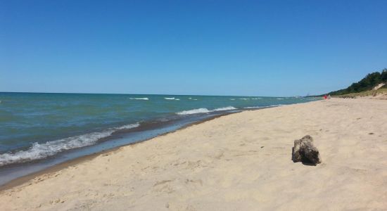 Sand Dunes Beach