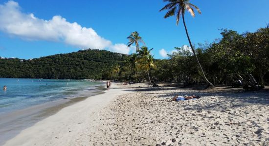 Magens Bay beach