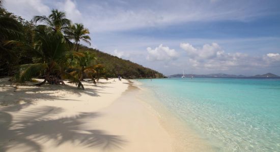 Salomon beach