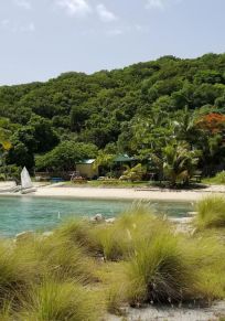 Little Jost Van Dyke Island
