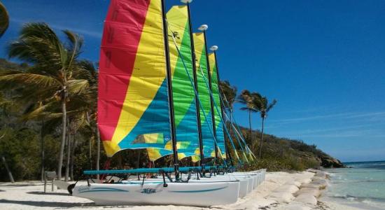Plaża na wyspie Eustatia.