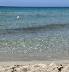 C'est La Vie Beach - Gallipoli