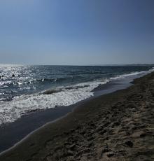 Ocean Surf Beach