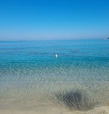 Lido Charly