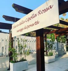Osteria della Cipolla Rossa