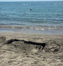40 gradi all'ombra
