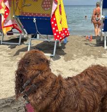Bagno Maria