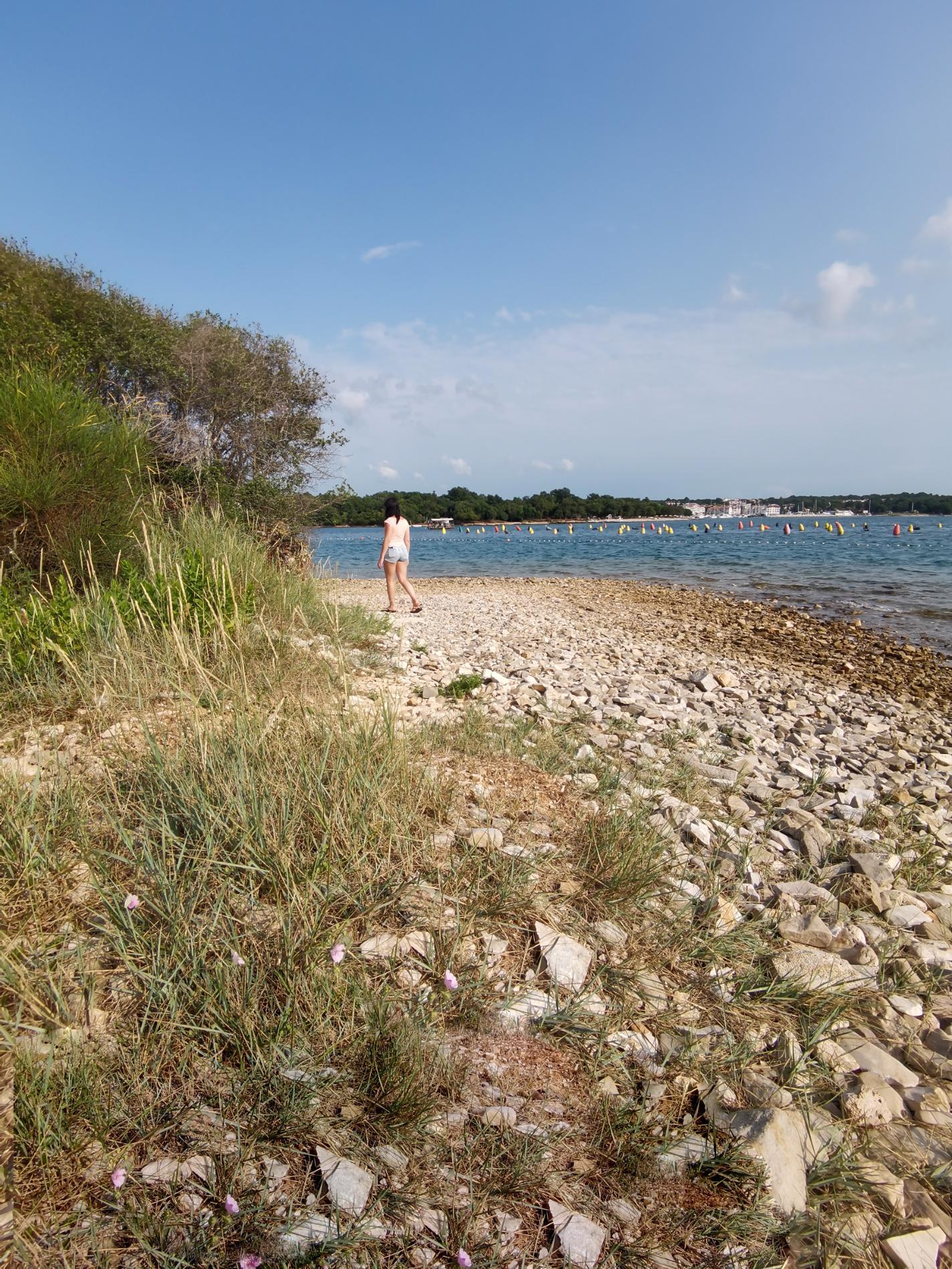 Photo of Vabriga beach