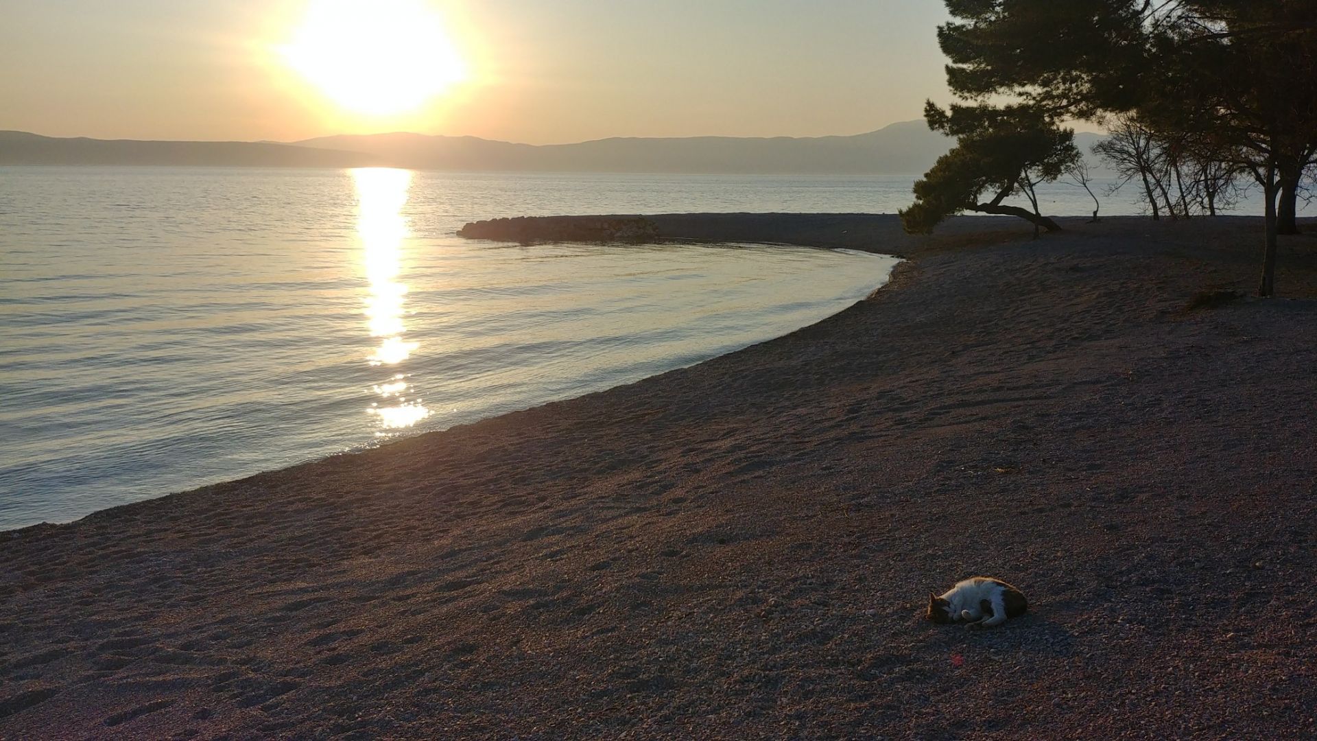 Foto av Adriatic II beach bekvämlighetsområde
