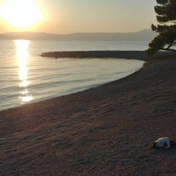 Foto di Adriatic II beach - luogo popolare tra gli intenditori del relax