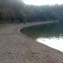 Foto di Pesja beach con baia spaziosa