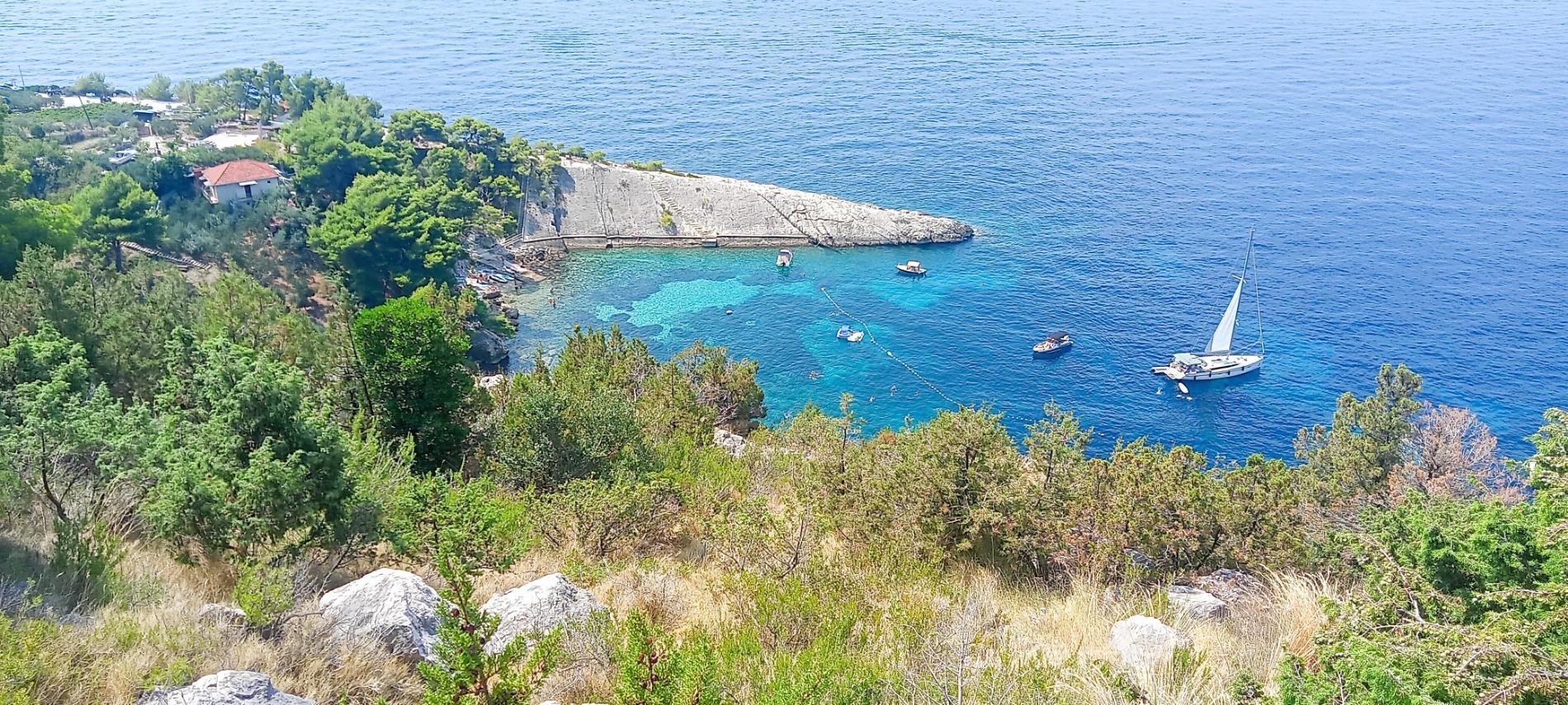 Foto di Malo Zarace beach - buon posto amico degli animali domestici per le vacanze