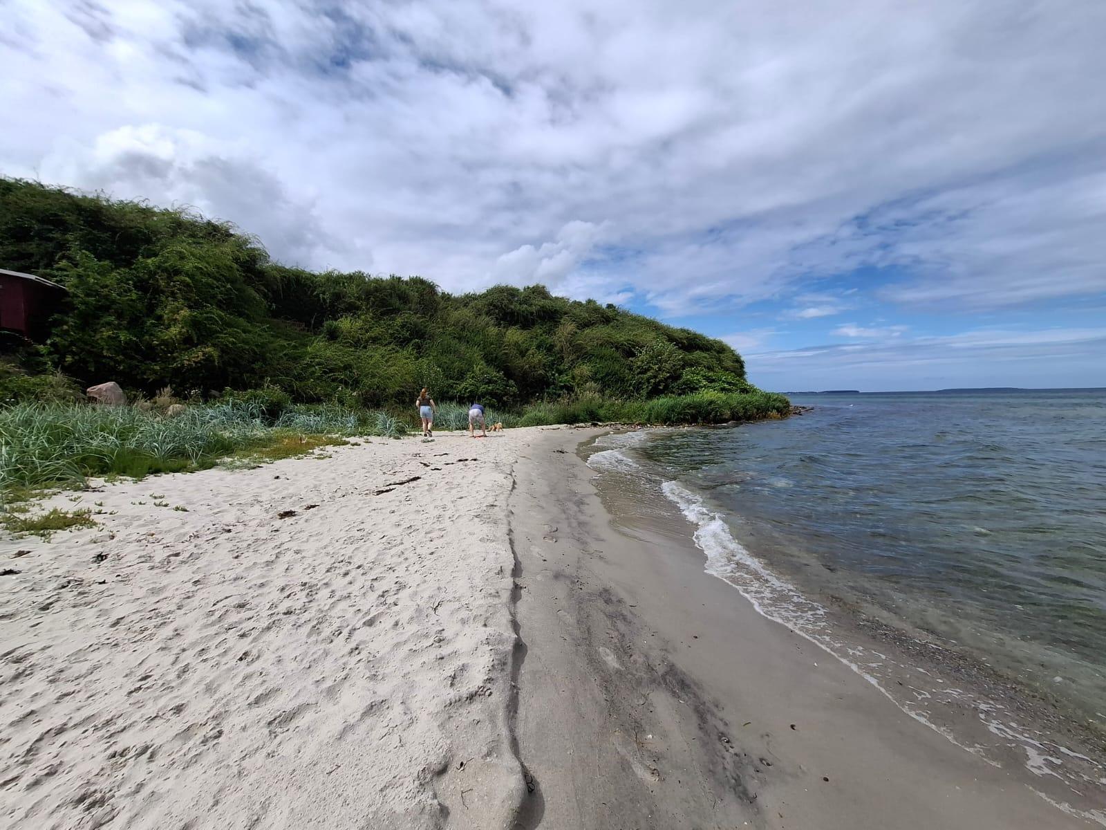 Zdjęcie Dinestrup Beach - popularne miejsce wśród znawców relaksu