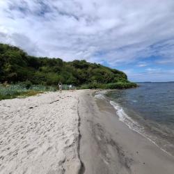 Zdjęcie Dinestrup Beach - popularne miejsce wśród znawców relaksu