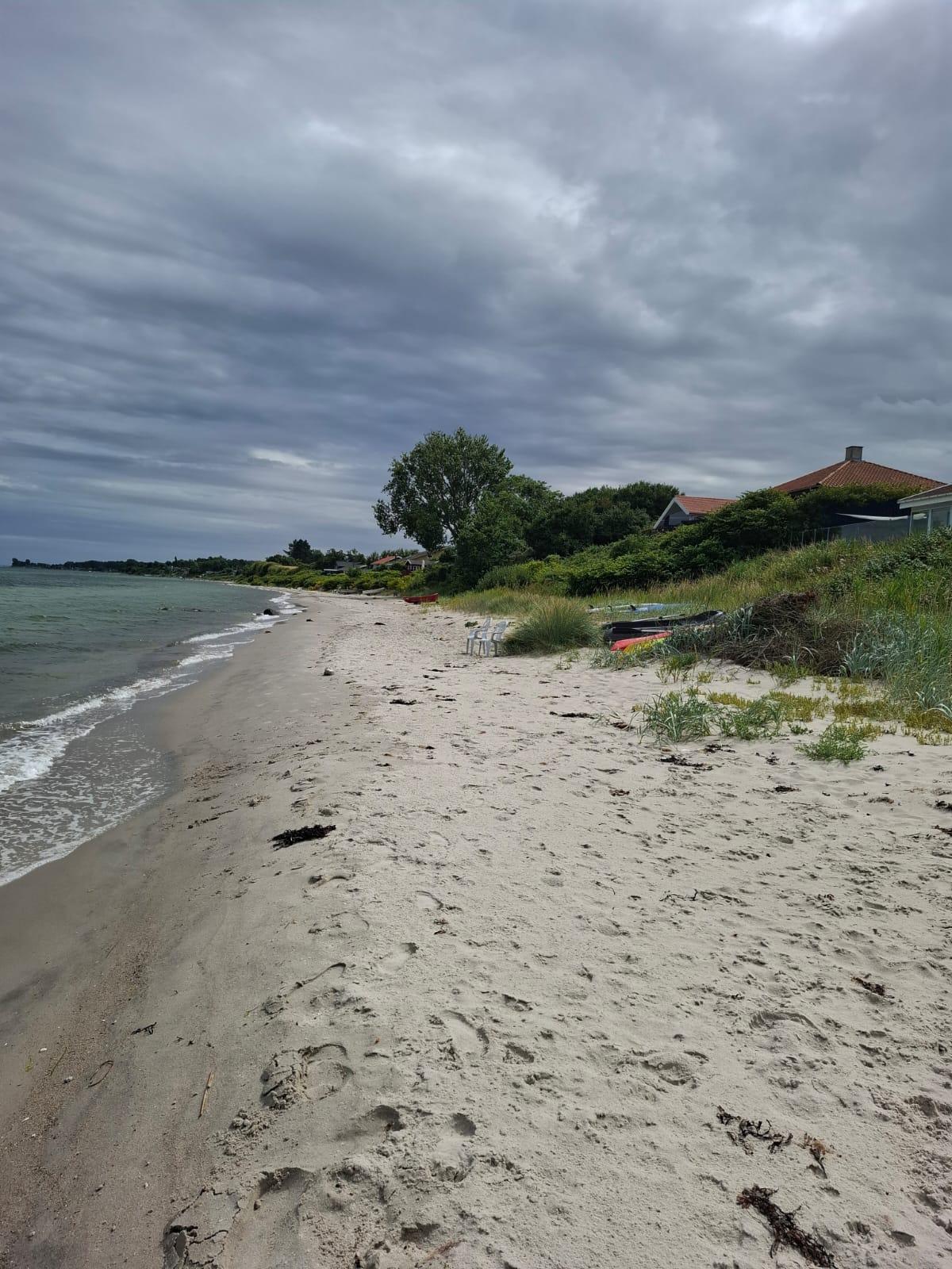 Zdjęcie Dinestrup Beach - dobre miejsce przyjazne zwierzętom domowym na wakacje