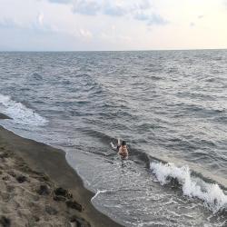 Foto di Shekvetili beach con costa lunga e dritta