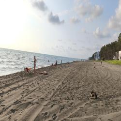 Foto di Shekvetili beach area servizi