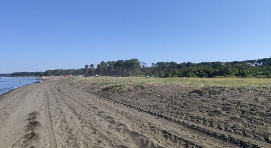 Ureki Nature beach