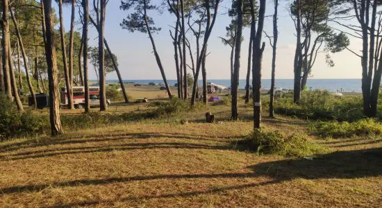 Ureki Nature beach