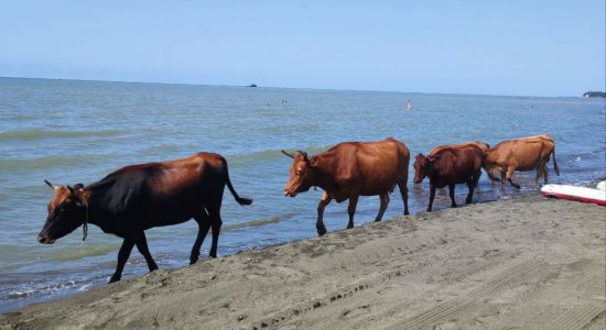 Ureki Nature beach