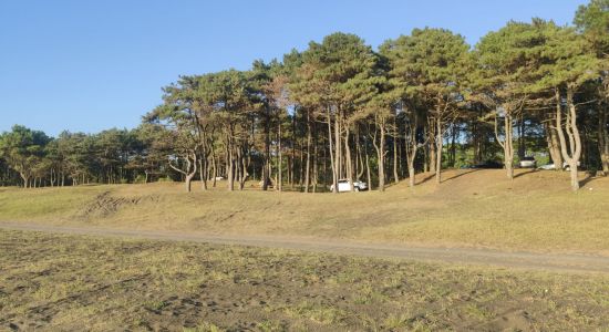 Ureki Nature beach